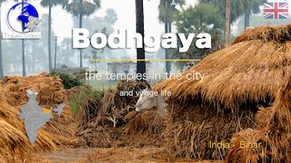 Bodhgaya, temples in town and life in a village • Bihar, India